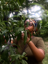 pimage 674 454 photo 14 1